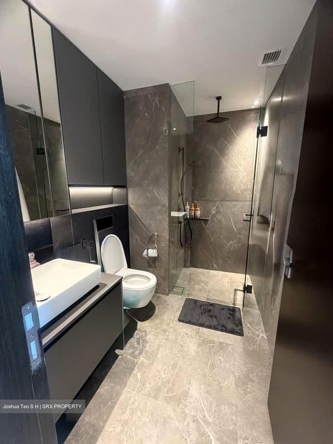 Irwell Hill Residences (D9), Apartment #600577641